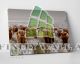 Highland Cow Herd Canvas Art Decor -D126