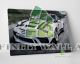 White Porsche Racing Car Canvas Art Decor -E367