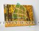 Autumn Leaves Park Walk Canvas Art Decor -C265