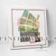 Pink Flower Paris Fashion Canvas Art Decor -E23