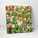 Colourful Tulips Flowers Field Canvas Art Decor -C281